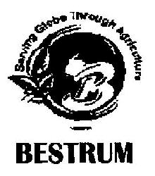 Bestrum Device mark 2901476 Trademark