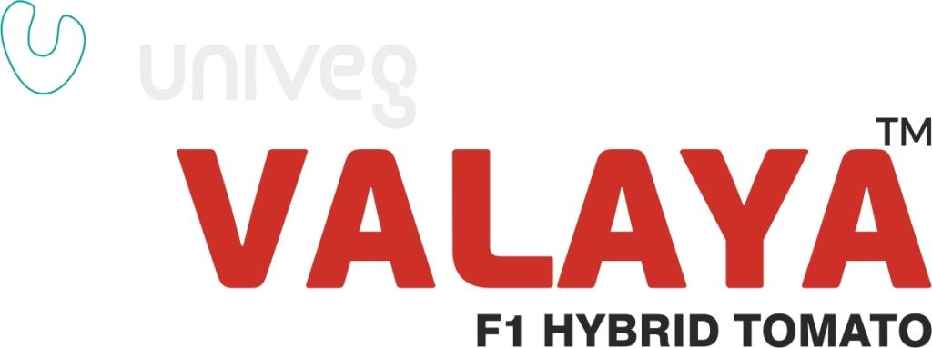 Valaya Device mark 3095893 Trademark