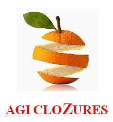 Agi Clozures Device mark 3098451 Trademark