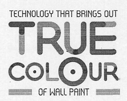 Technology That Brings Out True Colour Of Wall Paint Device mark 3102120 Trademark