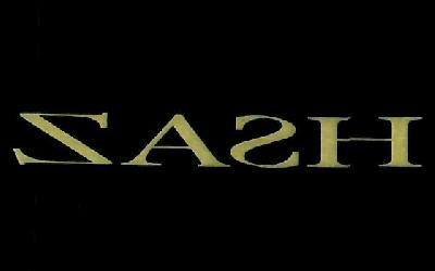 Zash Device mark 3113932 Trademark