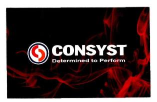 Consyst Determined To Perform (label) Device mark 3114081 Trademark