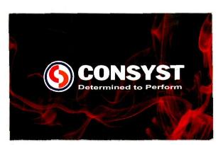 Consyst Determined To Perform (label) Device mark 3114082 Trademark