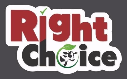 Right Choice Device mark 3121621 Trademark