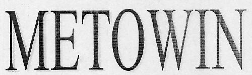 Metowin Device mark 3129362 Trademark