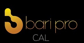 Baripro Cal Device mark 3129583 Trademark