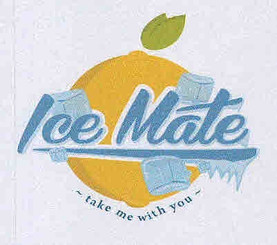 Lee Mate Device mark 3137084 Trademark