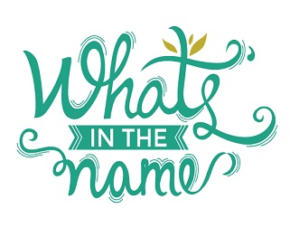 What's In The Name Device mark 3154479 Trademark