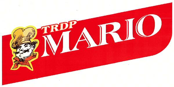 Trdp Mario Device mark 3184029 Trademark