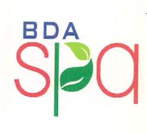 B D A Spa Device mark 3184049 Trademark