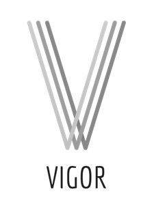 Vigor Device mark 3186615 Trademark