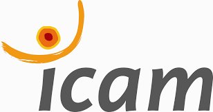 Icam Device mark 3191820 Trademark