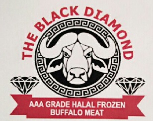 The Black Diamond Device mark 3193292 Trademark