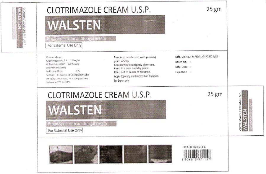 Walsten Device mark 3207684 Trademark