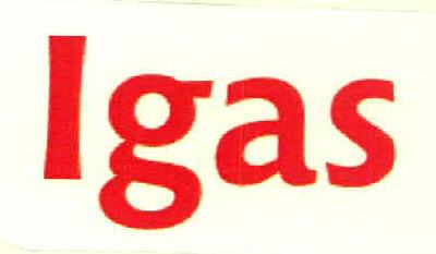 Igas Device mark 3215677 Trademark