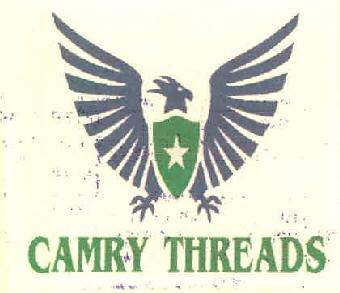 Camry Treads (device Of Eagle) Device mark 3220672 Trademark