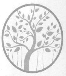 Device Device mark 2973803 Trademark