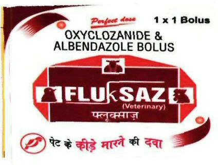 Fluksaz Device mark 3273789 Trademark