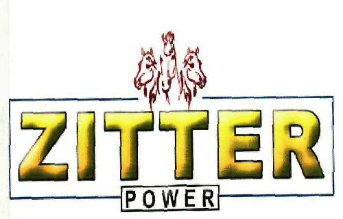 Zitter Power Device mark 3284399 Trademark