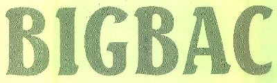 Bigbac Device mark 3285608 Trademark