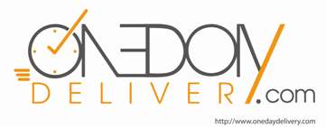 One Day Delivery Device mark 3286283 Trademark