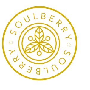 Soulberry Device mark 3288103 Trademark
