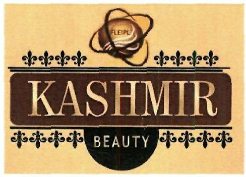 Kashmir Beauty Device mark 3294619 Trademark