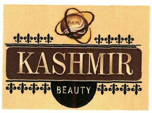 Kashmir Beauty Device mark 3294620 Trademark