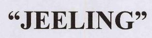 "jeeling" Device mark 3300639 Trademark