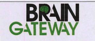 Brain Gateway (label) Device mark 3311530 Trademark