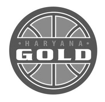 Haryana Gold With Logo Device mark 3314377 Trademark