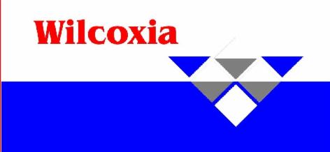 Wilcoxia (label) Device mark 3403265 Trademark