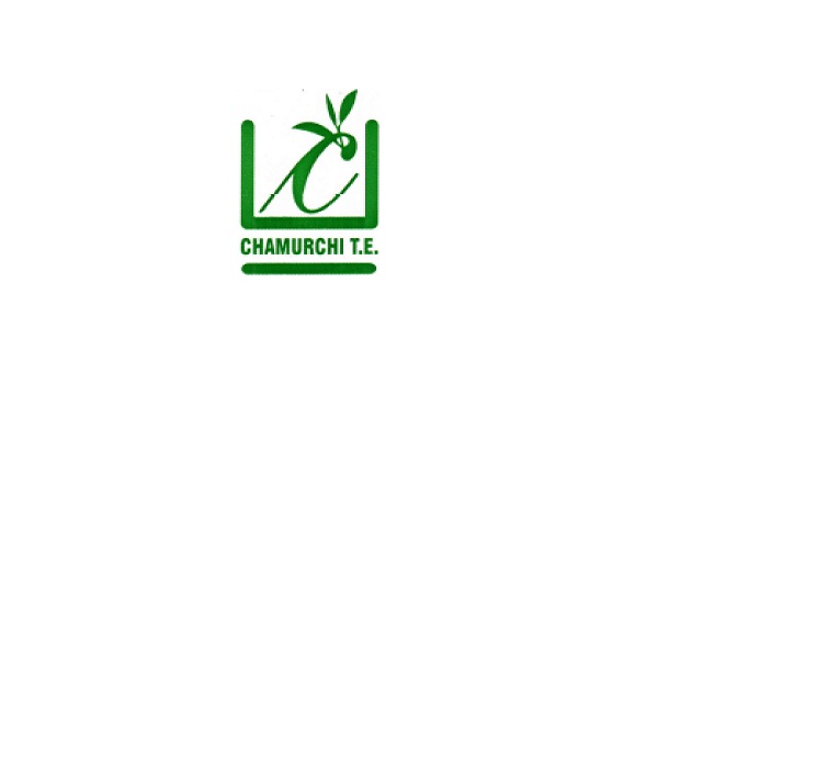 Chamurchi T.e. Device mark 3403898 Trademark