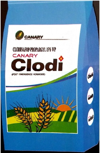 Canary Clodi Device mark 3407679 Trademark