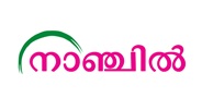 Nanjil Device mark 3415532 Trademark