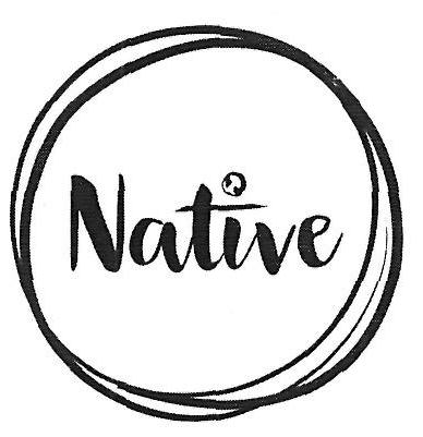 Native Device mark 3418891 Trademark
