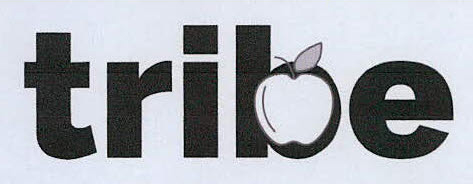 Tribe Device mark 3439821 Trademark