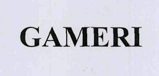 Gameri Device mark 3445302 Trademark
