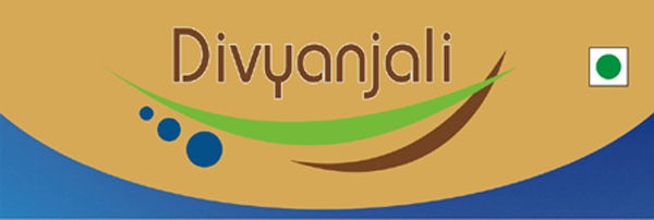 Divyanjali Device mark 3446622 Trademark