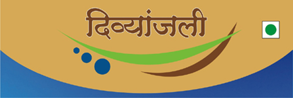 Divyanjali Device mark 3446624 Trademark