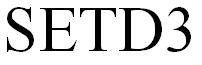 Setd3 Device mark 3449652 Trademark