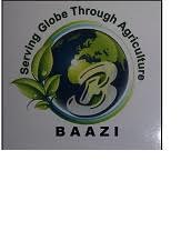 Baazi (device) Device mark 3521482 Trademark