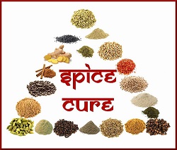 Spice Cure Device mark 3553599 Trademark