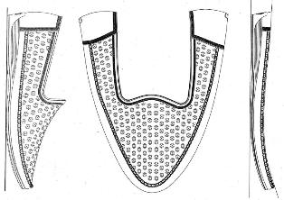Device Device mark 3650124 Trademark