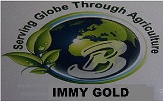 Immy Gold Device mark 3663126 Trademark