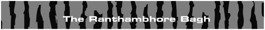 The Ranthambhore Bagh Device mark 3664116 Trademark