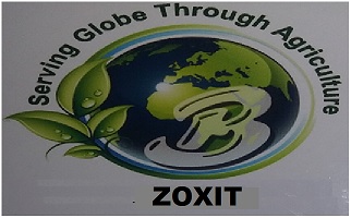 Zoxit Device mark 3677640 Trademark