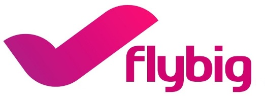 Flybig Device mark 4401788 Trademark