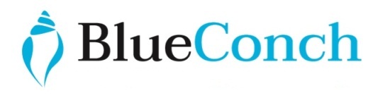 Blueconch Device mark 4404376 Trademark