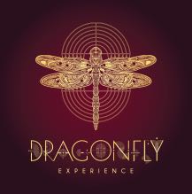 Dragonfly Experience Device mark 4408026 Trademark